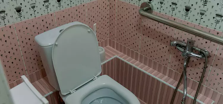 Meeting Diverse Needs With Accessible Restroom Solutions in South Laurel, MD