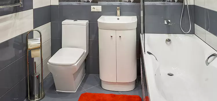 Hansgrohe Shaving Mirror South Laurel